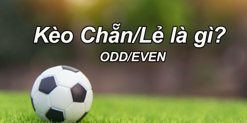 Kèo chẵn lẻ và những điều anh em bet thủ không nên bỏ lỡ